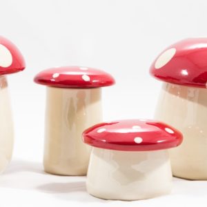 Boites Champignon