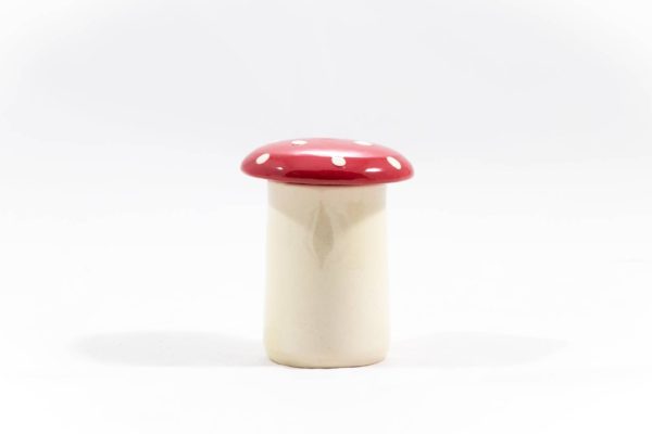 Boîte Champignon mini