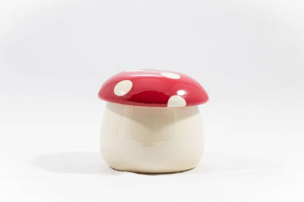 Boîte Champignon grande