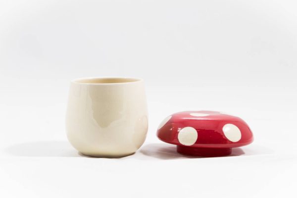 Boîte Champignon grande