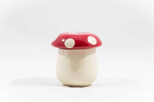 Boîte Champignon moyenne