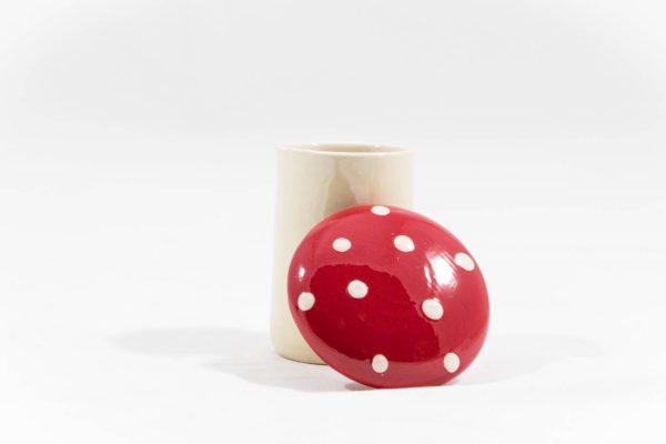 Boîte Champignon mini